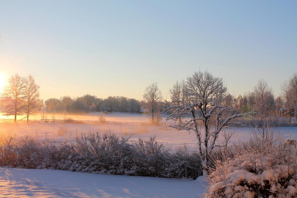 Värnamo Hoehaellets Lantliga Rum المظهر الخارجي الصورة
